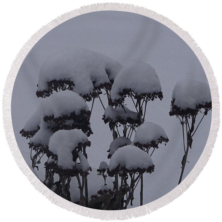 Autumn Glory Round Beach Towel featuring the photograph Autumn Glory In Winter by Robert E Alter Reflections of Infinity