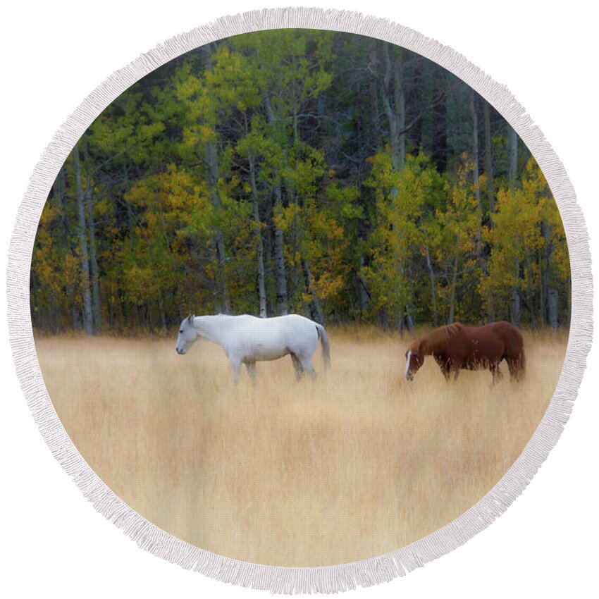 Horse Round Beach Towel featuring the photograph Autumn Horse Meadow by Steph Gabler