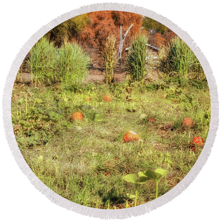 Pumpkin Patch Round Beach Towel featuring the photograph Autumn in the Pumpkin Patch by Alison Frank