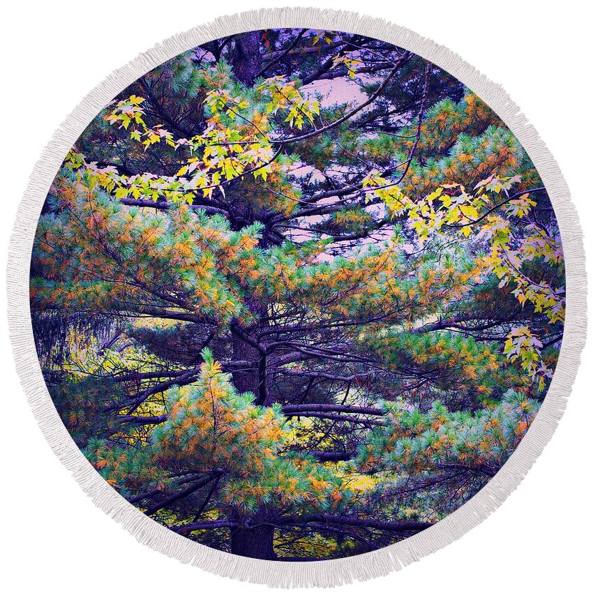 Nature Round Beach Towel featuring the photograph Autumn Pine by Frank J Casella