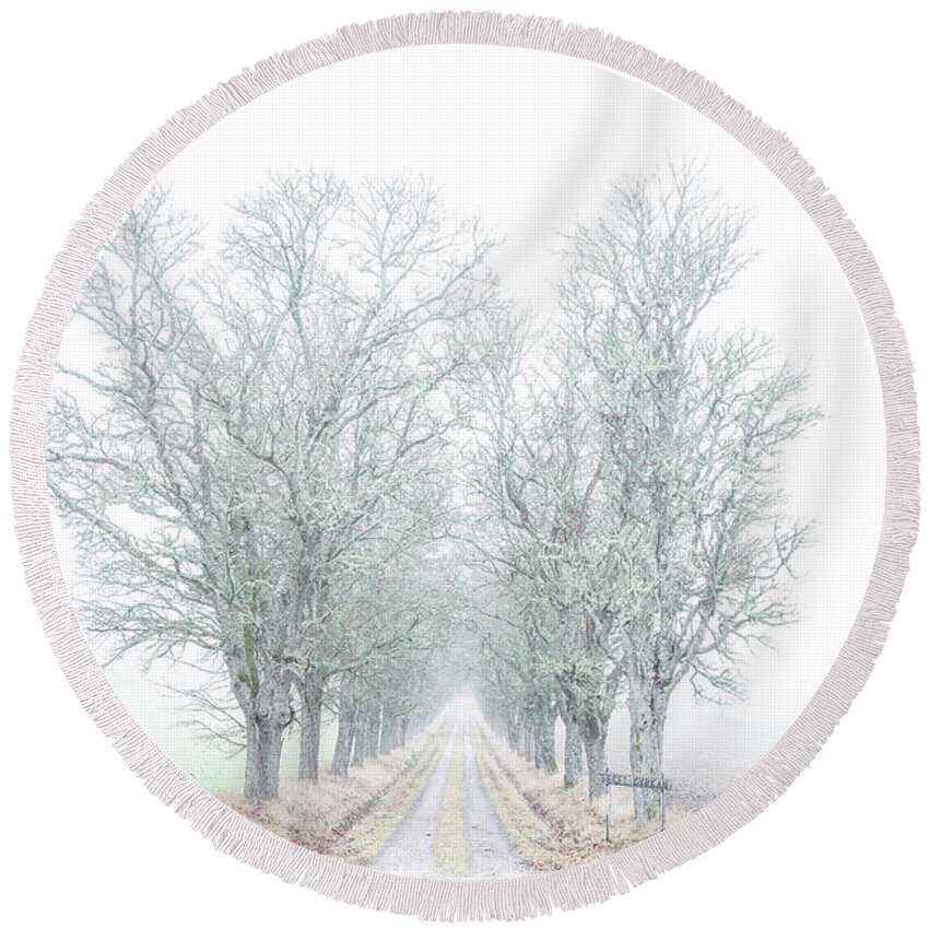Avenue Of Maple Trees Round Beach Towel featuring the photograph Avenue of maple trees in fog by Torbjorn Swenelius