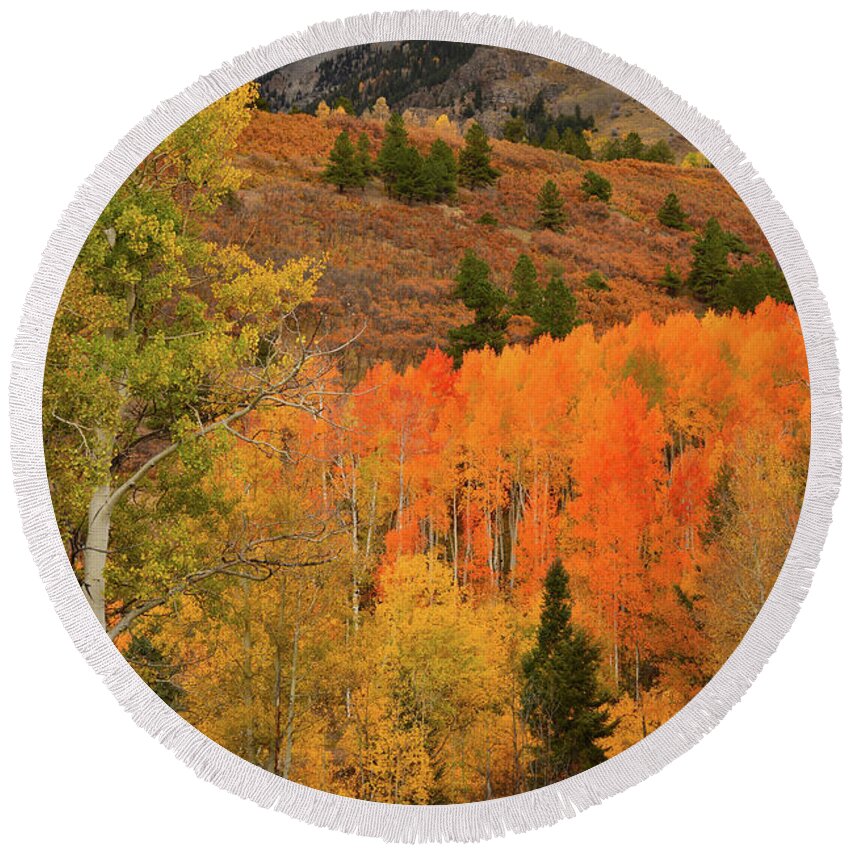 Colorado Round Beach Towel featuring the photograph Backroad Fall Colors near Telluride CO by Ray Mathis