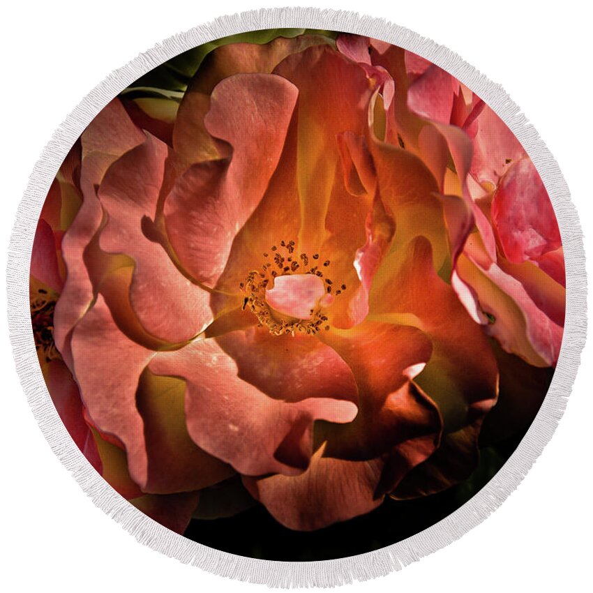 Brian Carson Round Beach Towel featuring the photograph Backyard Flowers 40 Color Version by Brian Carson
