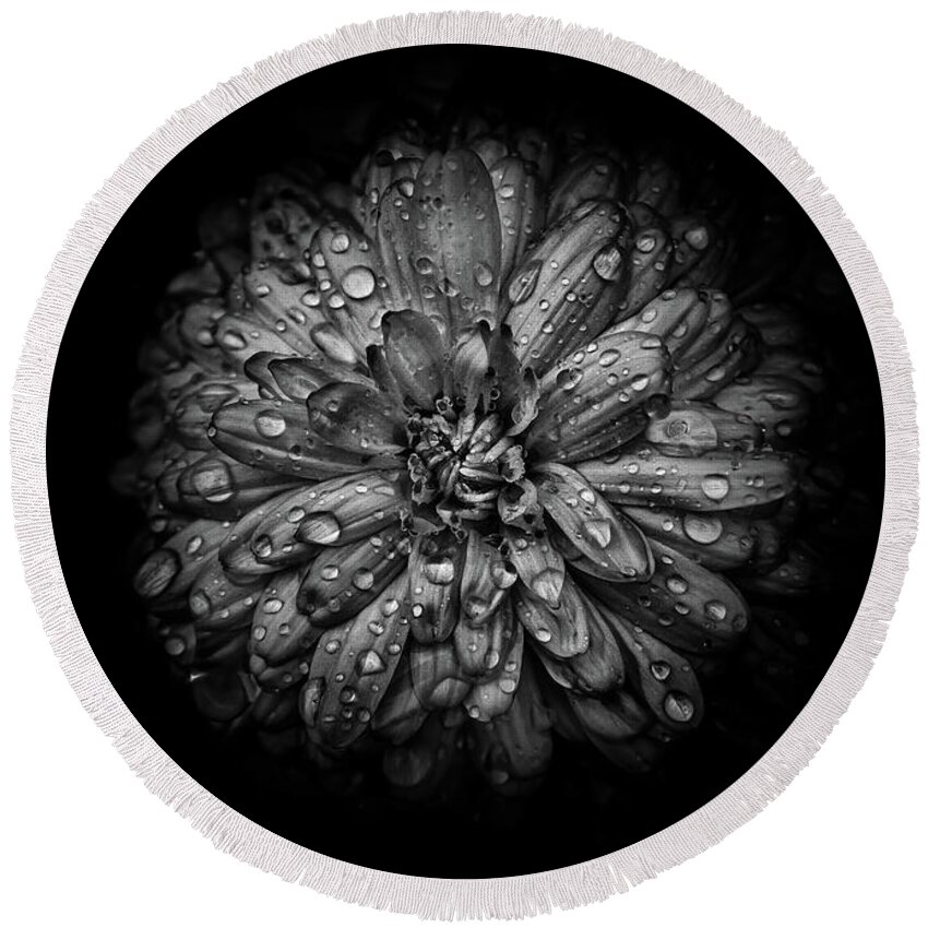 Brian Carson Round Beach Towel featuring the photograph Backyard Flowers In Black And White 44 by Brian Carson