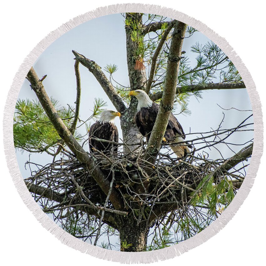 Bald Eagle Round Beach Towel featuring the photograph Bald Eagle Couple by Robert J Wagner