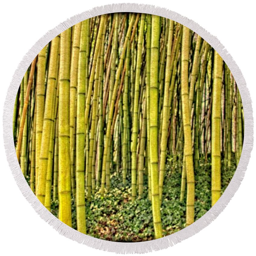 Bamboo Round Beach Towel featuring the photograph Bamboo by Allen Nice-Webb