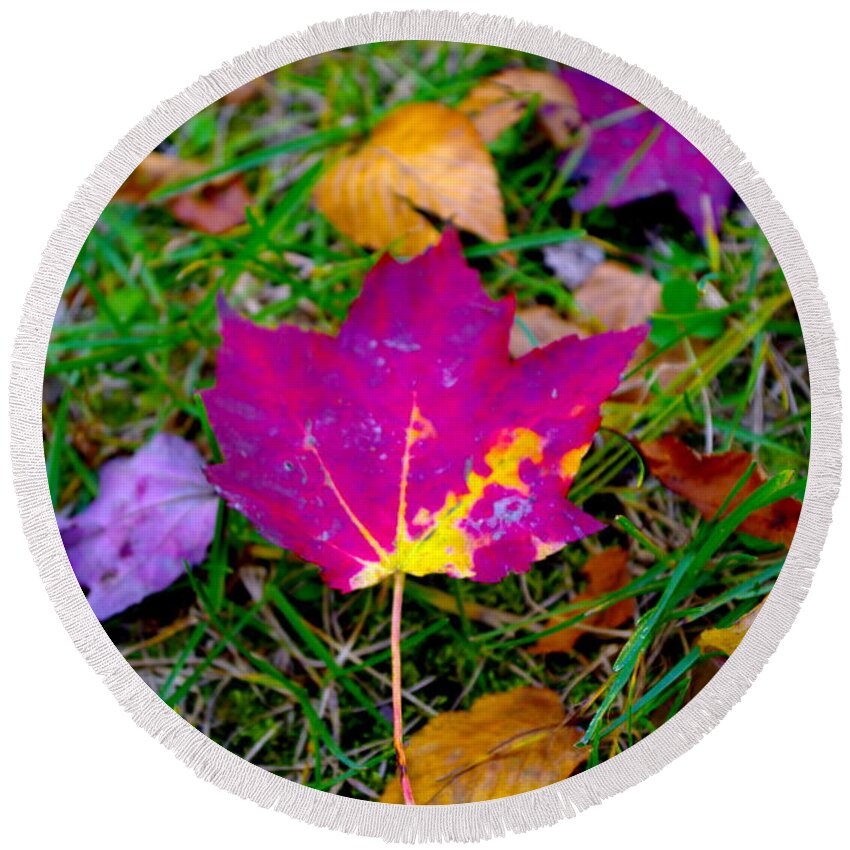 Beautiful Pocono Autumn Leaf Round Beach Towel featuring the photograph Beautiful Pocono Autumn Leaf by Barbra Telfer