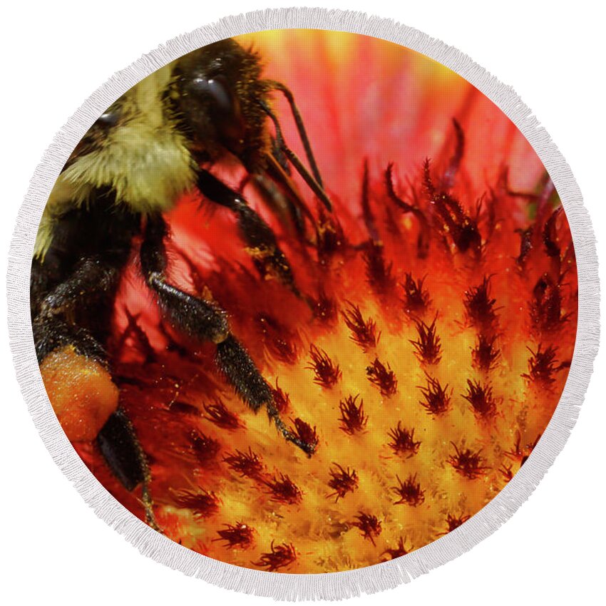 Bee Round Beach Towel featuring the photograph Bee Red Flower by Meta Gatschenberger