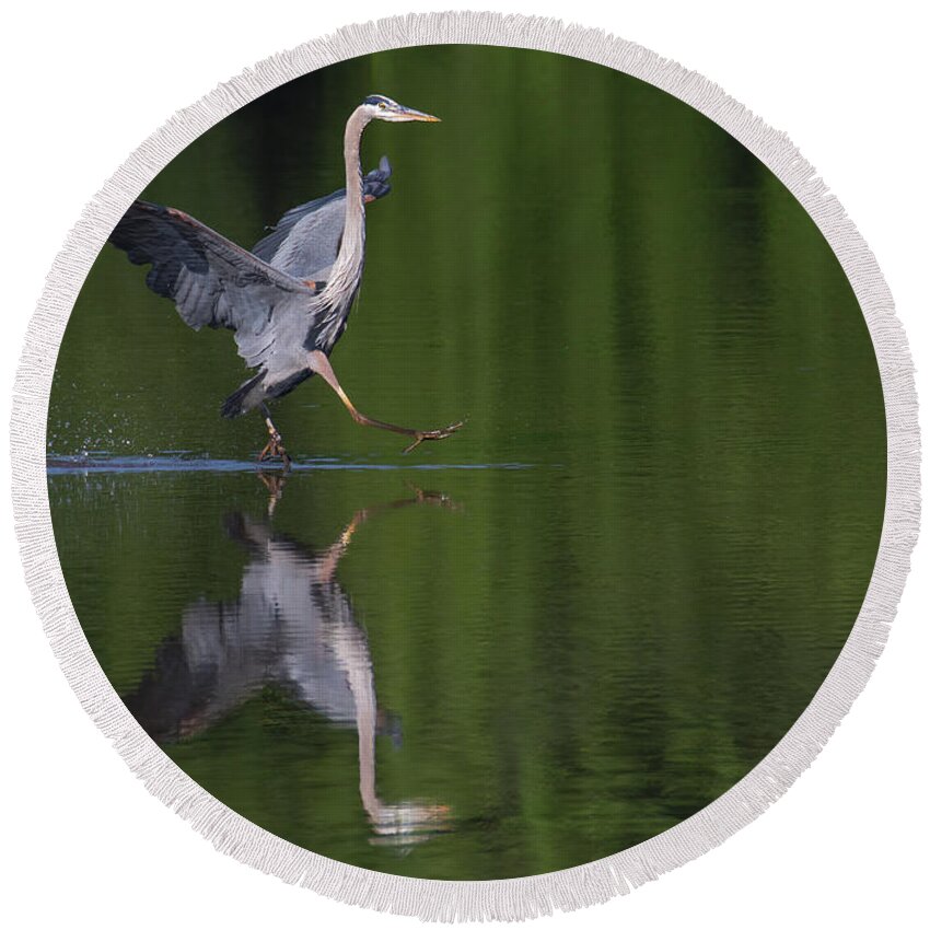 Great Blue Heron Round Beach Towel featuring the photograph Beep Beep by Art Cole
