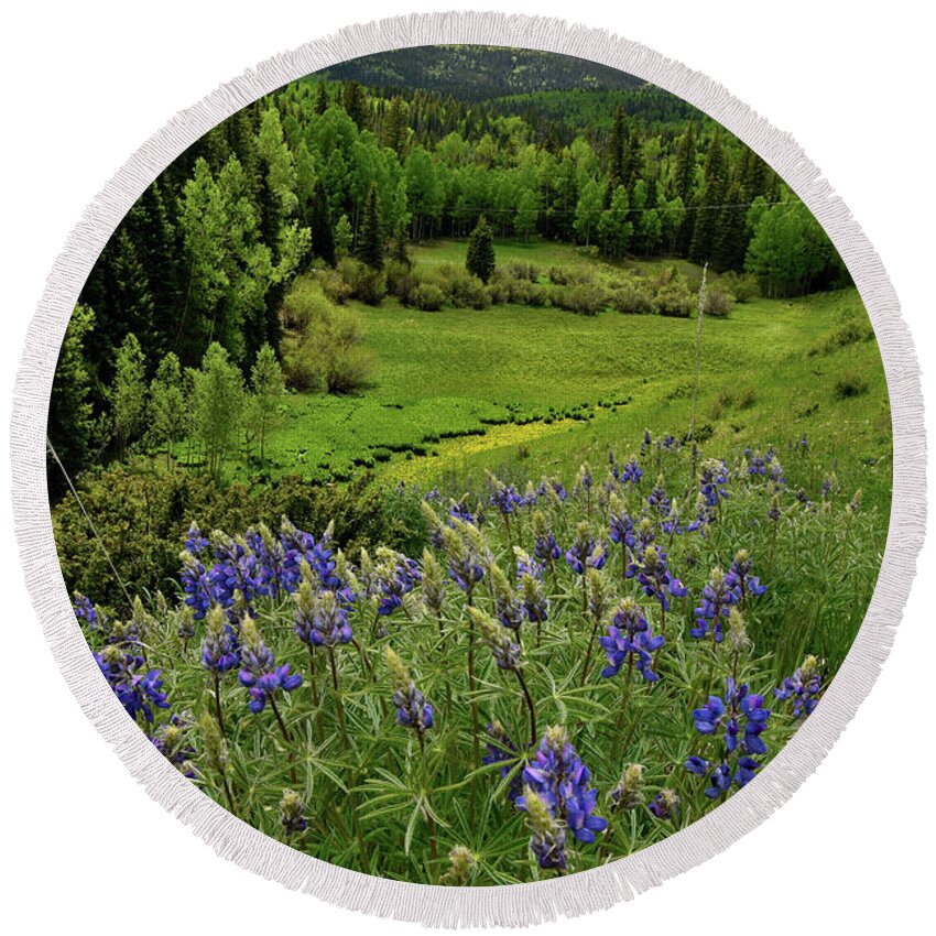 Highway 50 Round Beach Towel featuring the photograph Big Cimarron Lupine by Ray Mathis