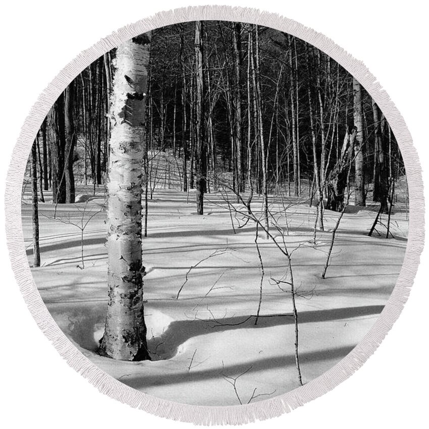 New Hampshire Round Beach Towel featuring the photograph Birch Shadow. by Jeff Sinon