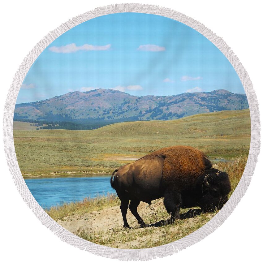Bison Round Beach Towel featuring the photograph Bison by FD Graham