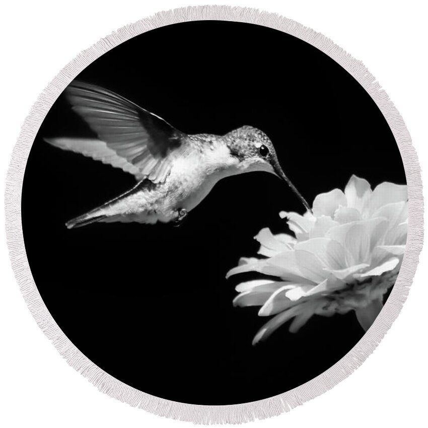 Hummingbird Round Beach Towel featuring the photograph Black and White Hummingbird and Flower by Christina Rollo