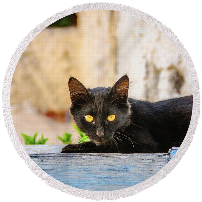 Greece Round Beach Towel featuring the photograph Black Cat by Tito Slack