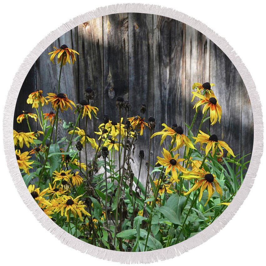 Yooper Round Beach Towel featuring the photograph Black-Eyed Susans, Michigan Upper Peninsula by Ron Long