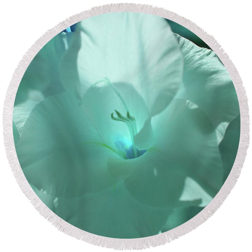 Blue Round Beach Towel featuring the photograph Blue Amaryllis by Rich Collins