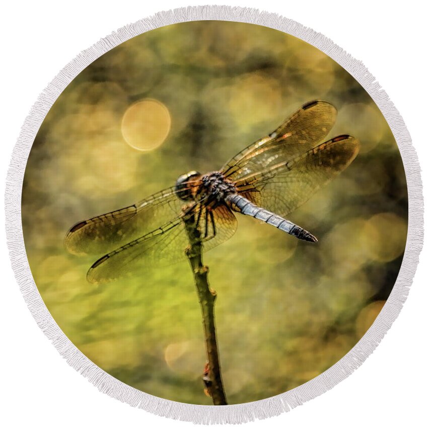 Insect Round Beach Towel featuring the photograph Blue Dasher Dragonfly And Bokeh by Dale Kauzlaric