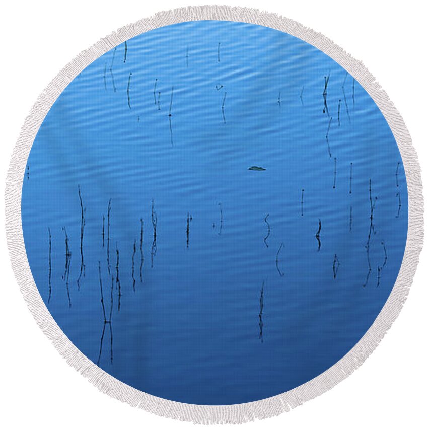 Reed Round Beach Towel featuring the photograph Blue Hour Reeds on a Pond by William Dickman