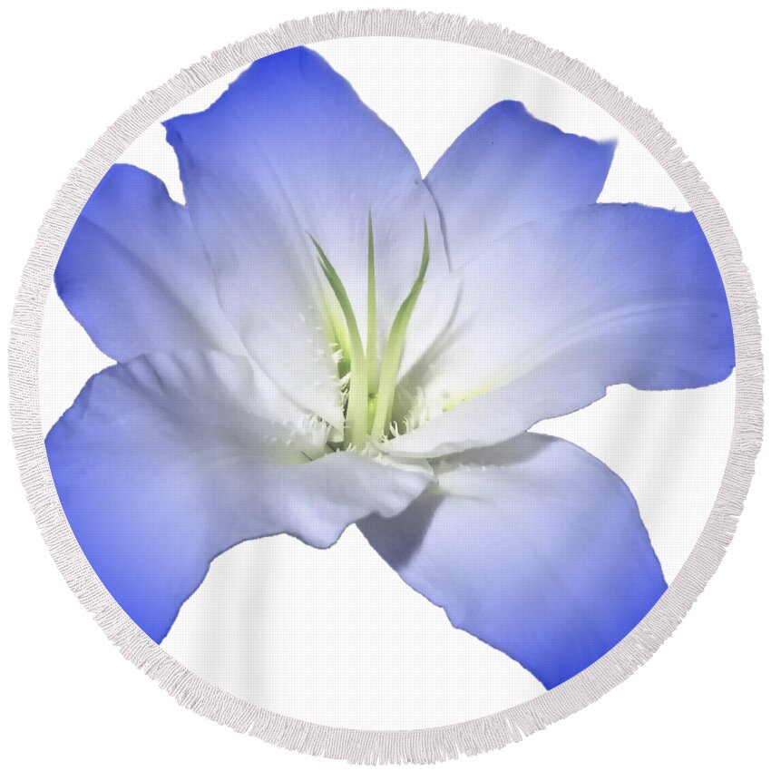 Blue Round Beach Towel featuring the photograph Blue Lily Flower for Shirts by Delynn Addams