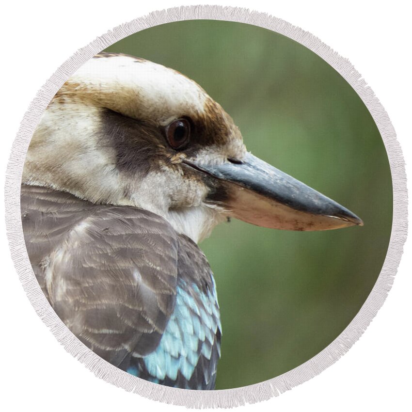Profile Round Beach Towel featuring the photograph Blue Winged Kookaburra by Christy Garavetto
