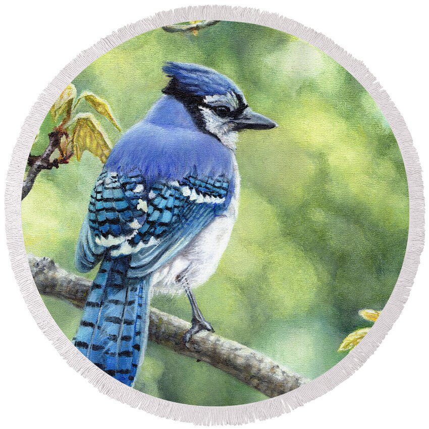 Blue Jay Round Beach Towel featuring the painting Blue Jay in Spring by Shana Rowe Jackson