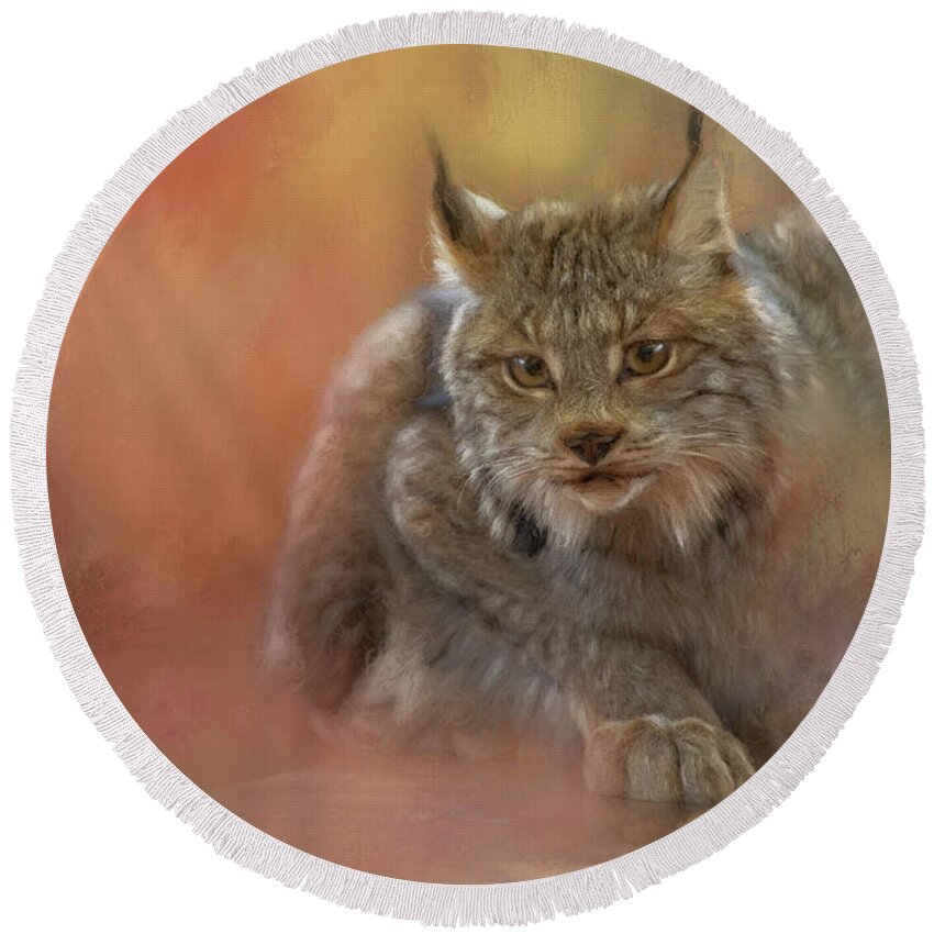 Bobcat Round Beach Towel featuring the painting Bobcat Pounce by Jeanette Mahoney