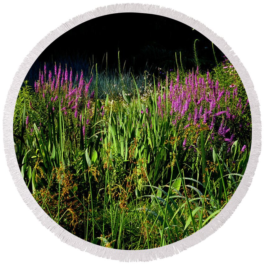Bog Round Beach Towel featuring the photograph Bog Garden by Mike McBrayer