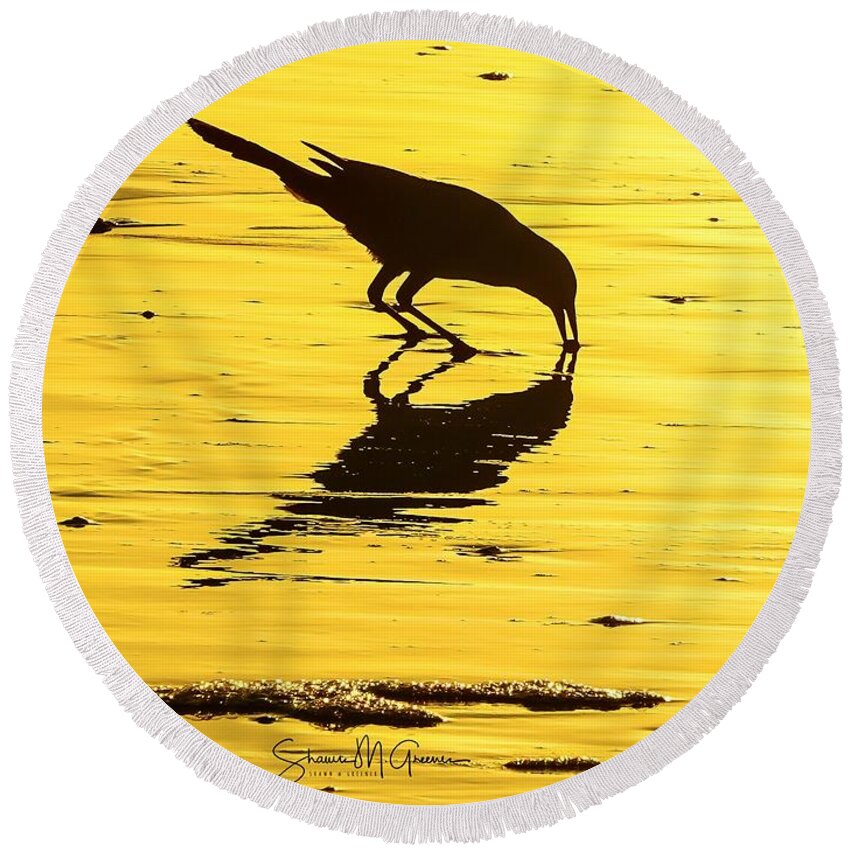 Bird Round Beach Towel featuring the photograph Breakfast at Sunrise by Shawn M Greener