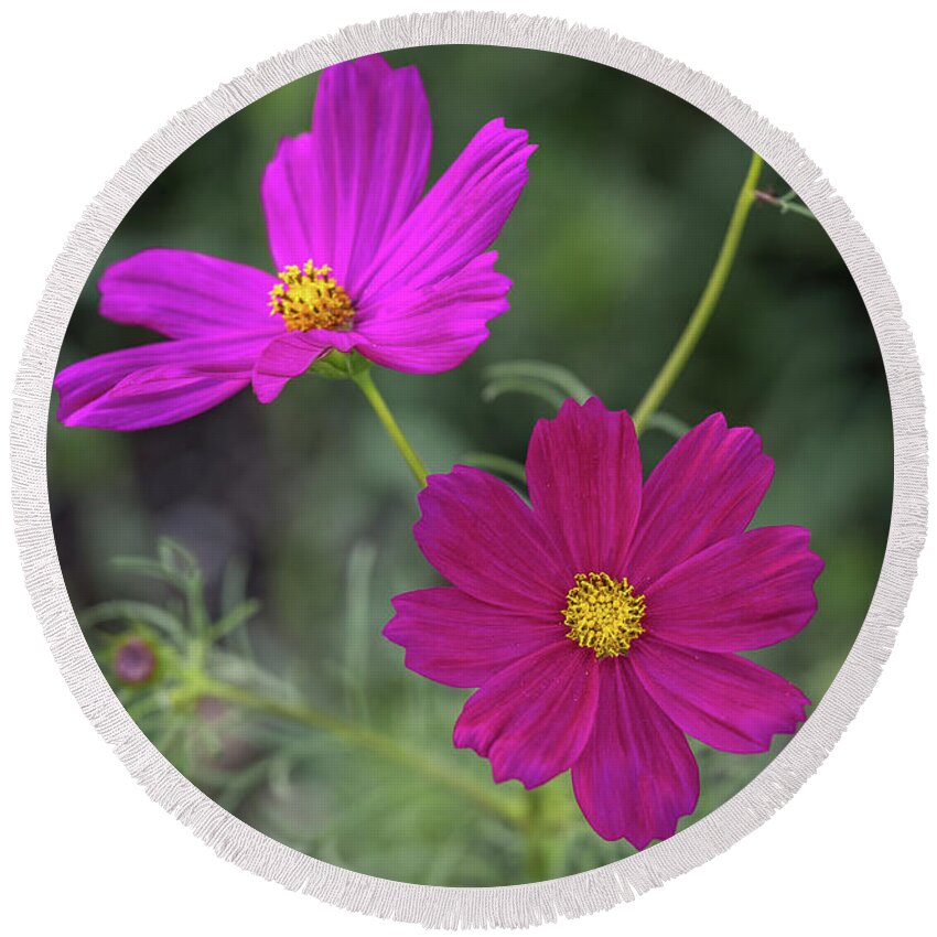 Flower Round Beach Towel featuring the photograph Brilliant Blooms by Aaron Burrows