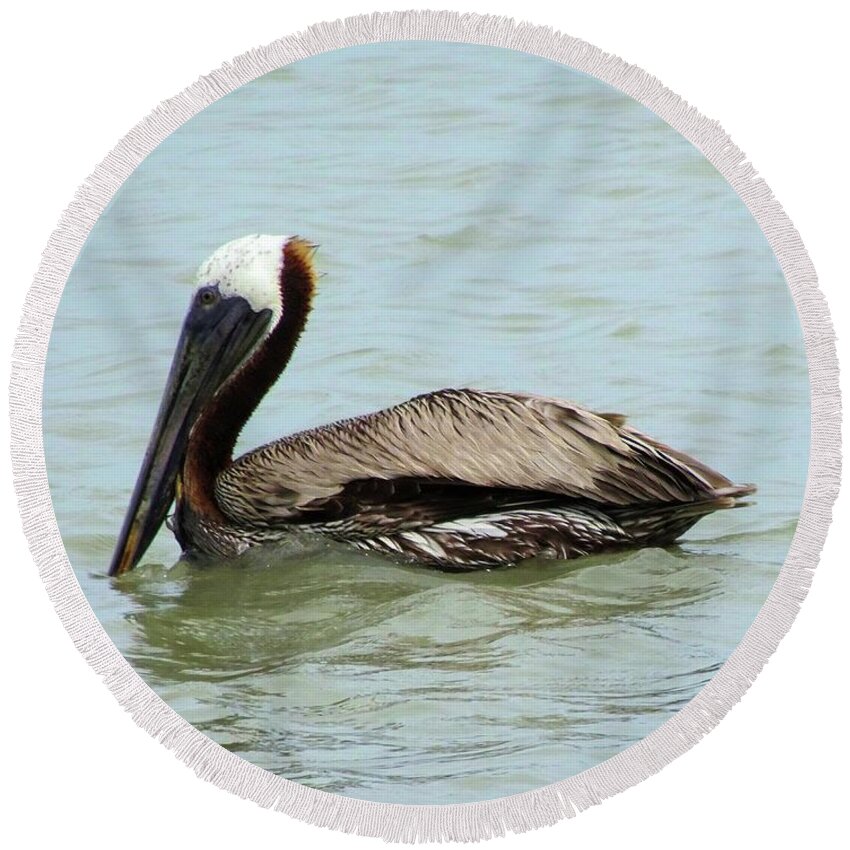 Birds Round Beach Towel featuring the photograph Brown Pelican by Karen Stansberry