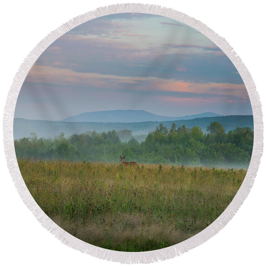 Maine Round Beach Towel featuring the photograph Buck by Alana Ranney