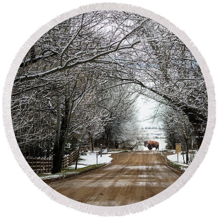 Buffalo Round Beach Towel featuring the photograph Buffalo Road by James BO Insogna
