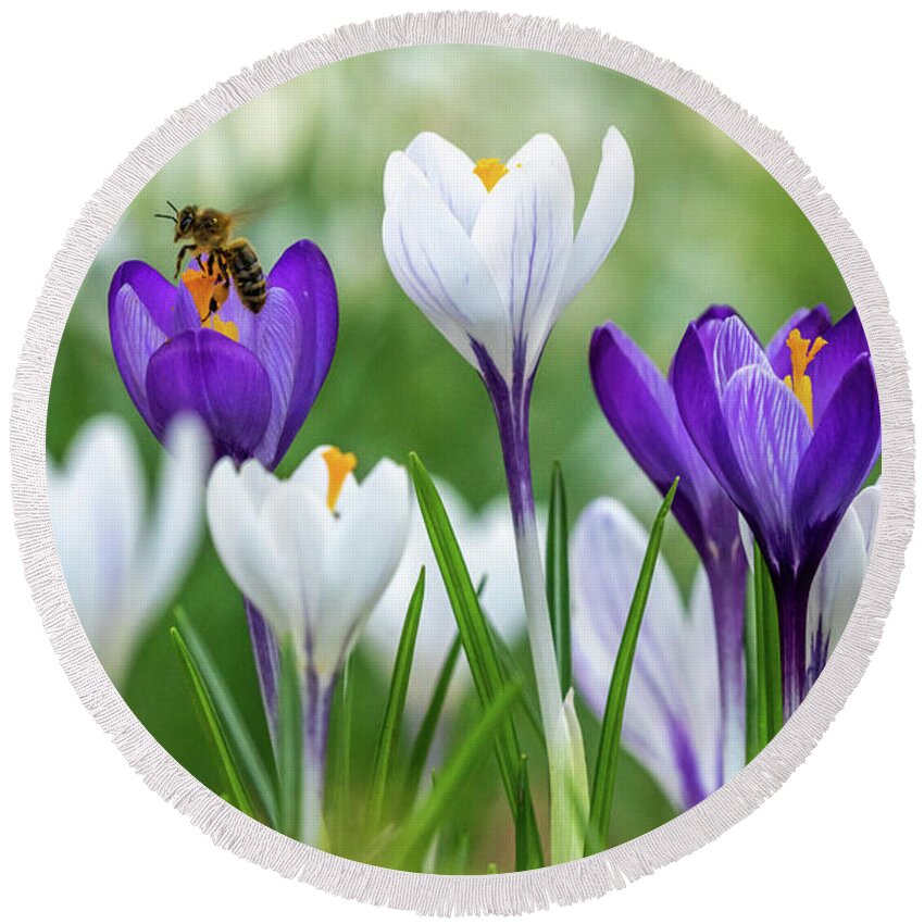 Spring Round Beach Towel featuring the photograph Busy Bee by Framing Places