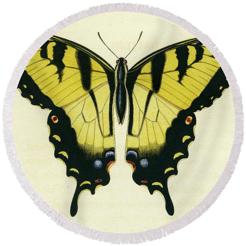 Entomology Round Beach Towel featuring the mixed media Butterfly by Unknown