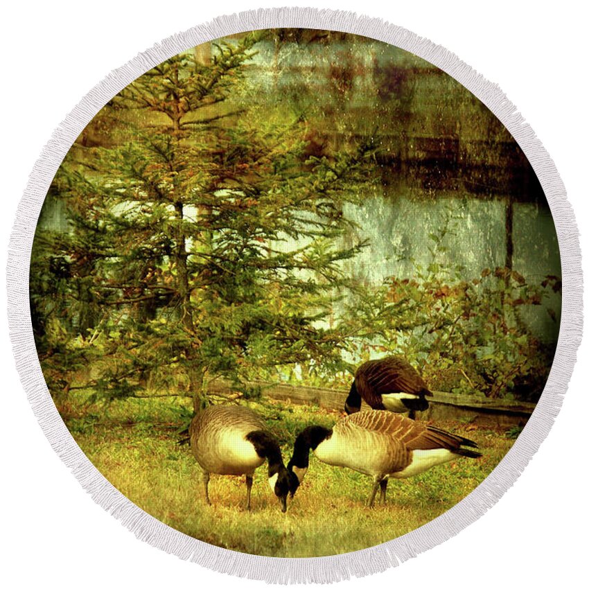Autumn Round Beach Towel featuring the photograph By The Little Tree - Lake Carasaljo by Angie Tirado