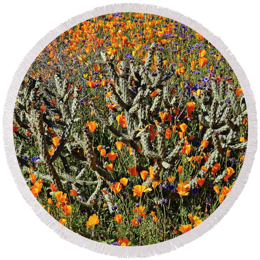 Poppies Round Beach Towel featuring the photograph Cactus Poppies and Bluebells by Glenn McCarthy Art and Photography
