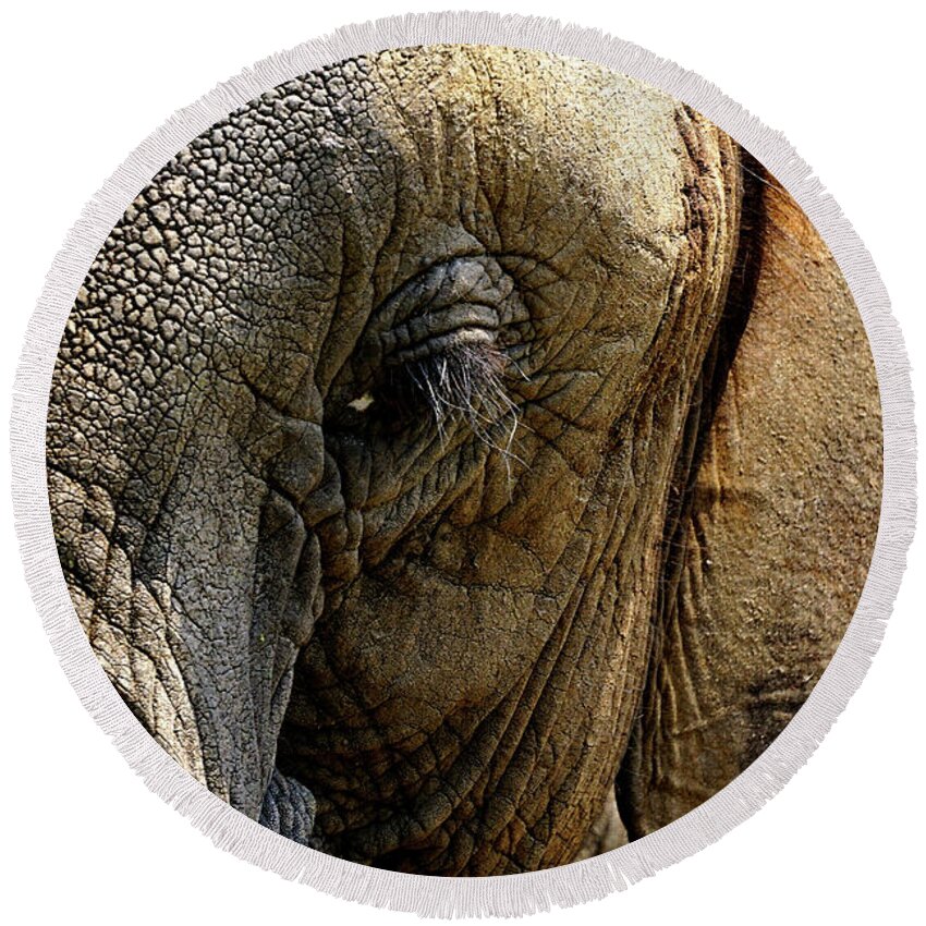 Africa Zambia Livingstone Elephant Café Round Beach Towel featuring the photograph Cafe Elephant by Darcy Dietrich