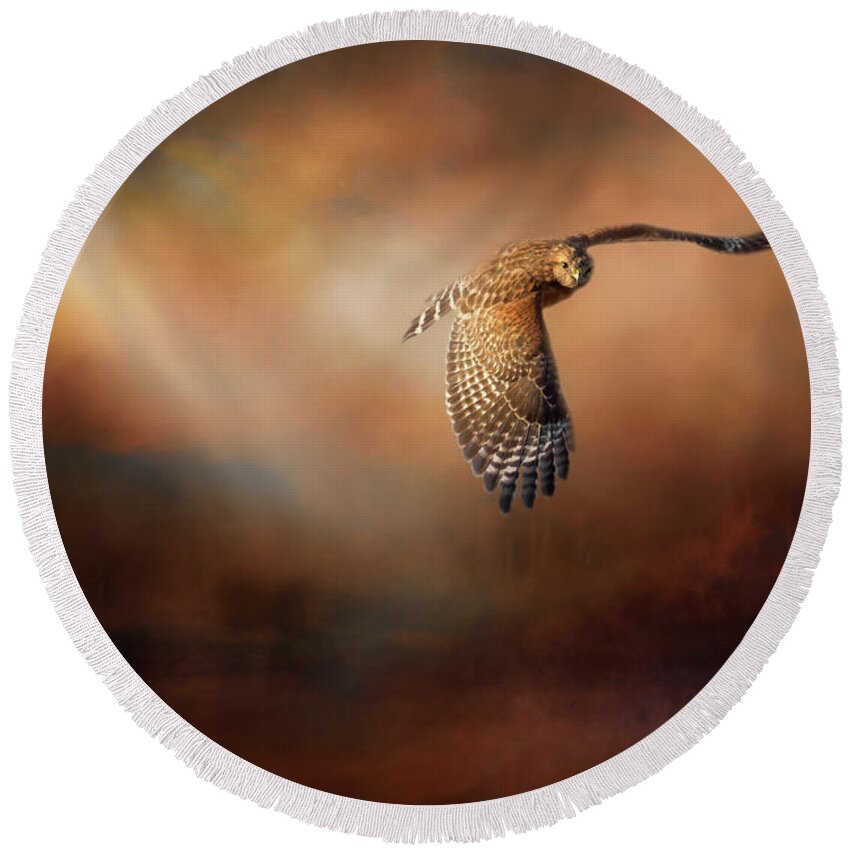 Hawk Round Beach Towel featuring the photograph Catching Rays by Bill Wakeley