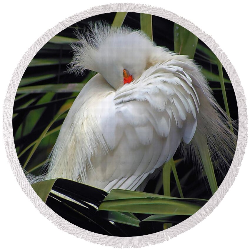 Egret Round Beach Towel featuring the photograph Catching the Red Eye by Michael Allard
