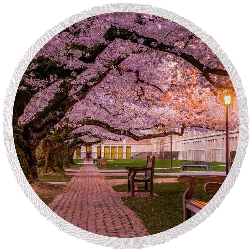 University Of Washington Quad Round Beach Towel featuring the photograph Cherry Blossom Elegance by Emerita Wheeling