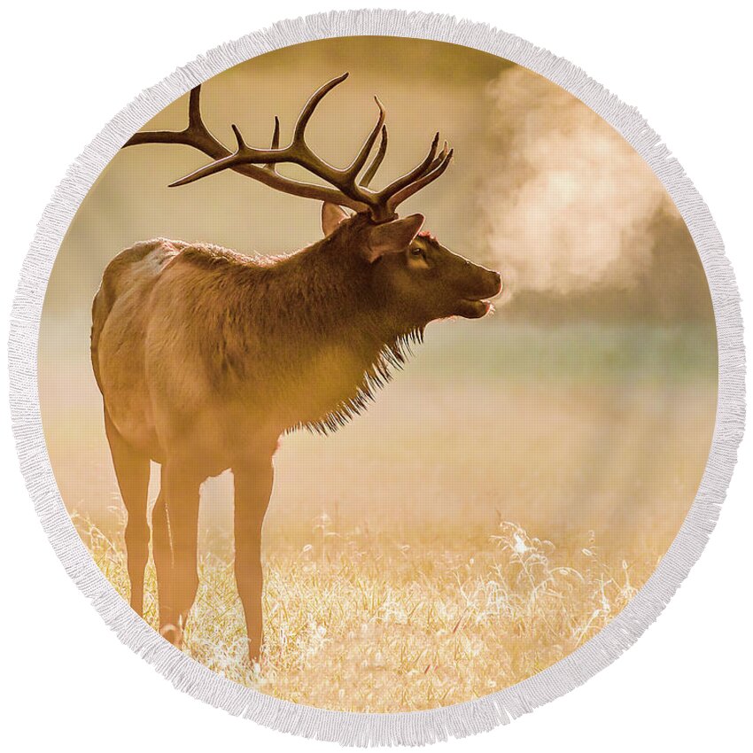 Elk Round Beach Towel featuring the photograph Frosty Bugle Breath by Marcy Wielfaert
