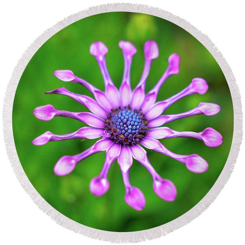 Flower Round Beach Towel featuring the photograph Circular by Michelle Wermuth