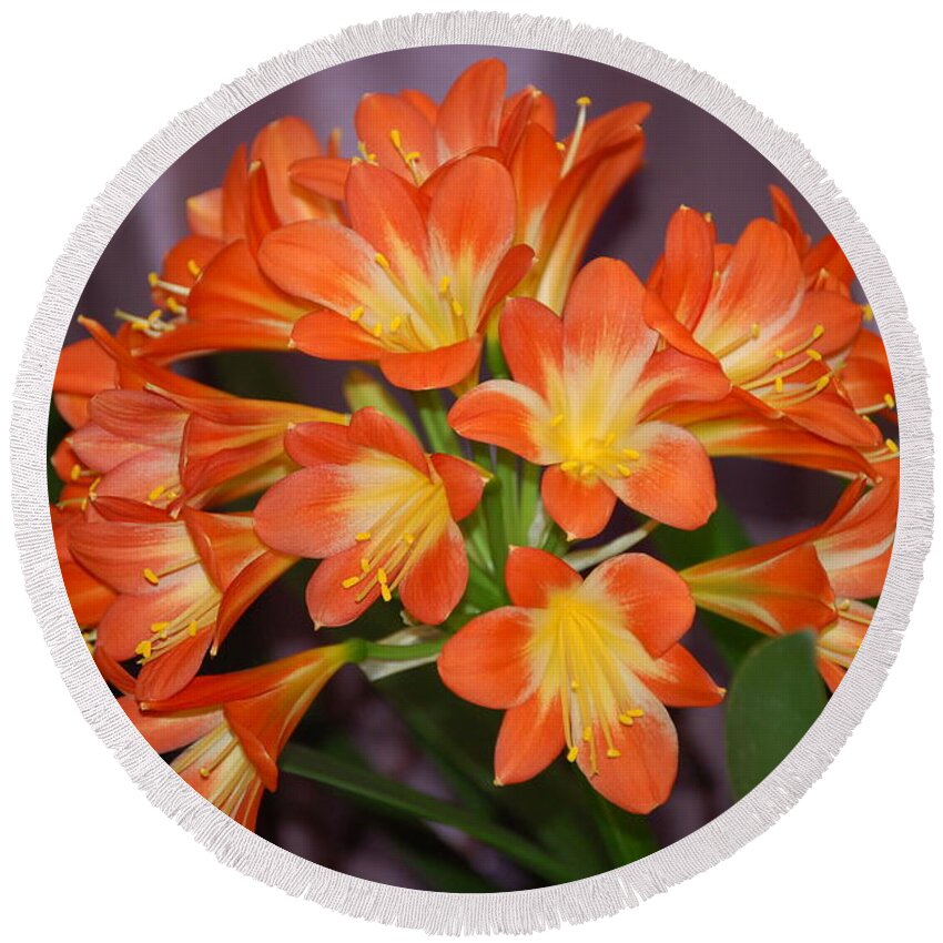 Flowers Round Beach Towel featuring the photograph Clivia Blossoms by Nancy Ayanna Wyatt