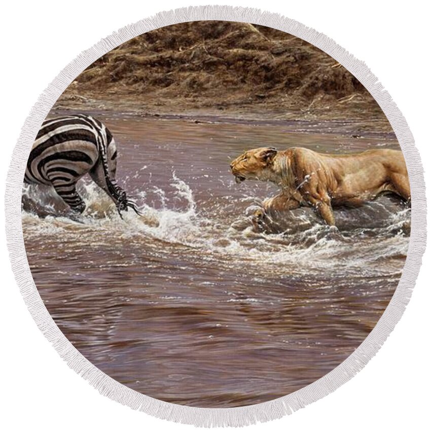 Paintings Round Beach Towel featuring the painting Closing In - Lion Chasing a Zebra by Alan M Hunt