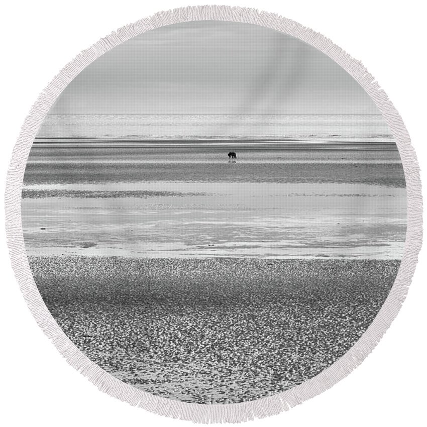 Bear Round Beach Towel featuring the photograph Coastal Brown Bear on a Beach in Monochrome by Mark Hunter