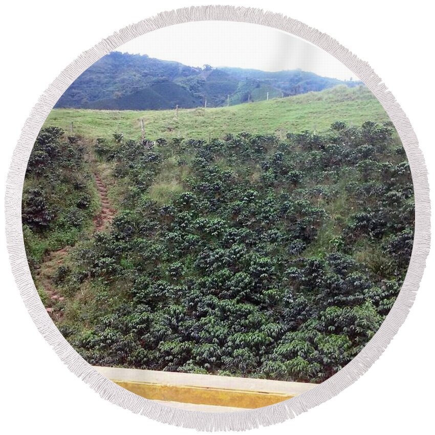  Round Beach Towel featuring the photograph coffee plantation from Chinchina, Colombia by Nestor Cardona Cardona