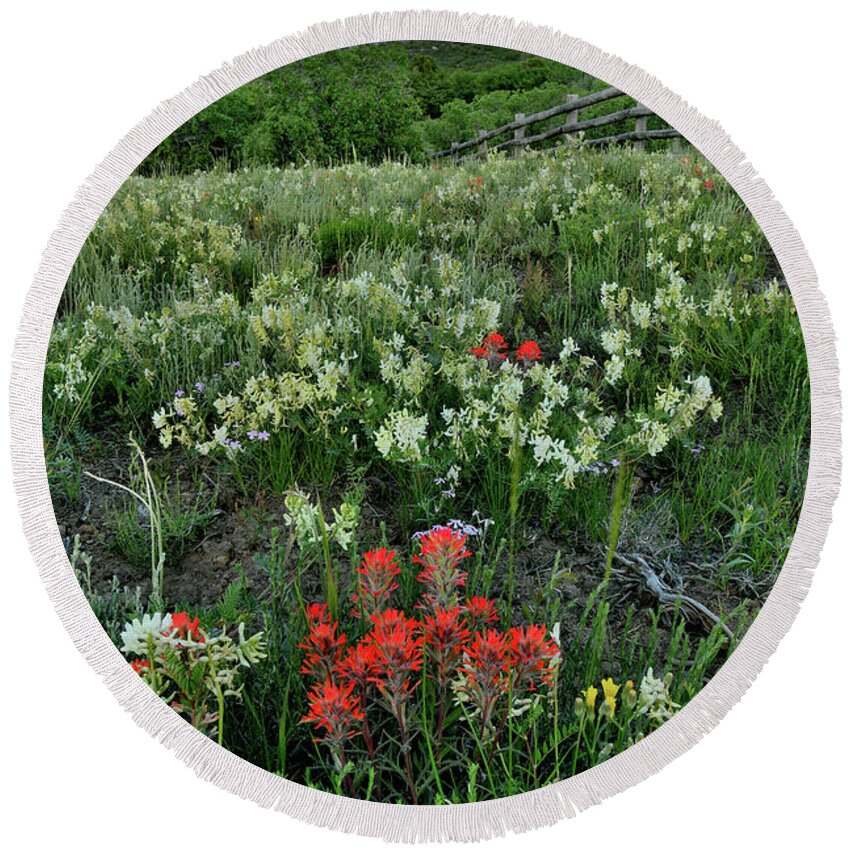 Ouray Round Beach Towel featuring the photograph Colorado Wildflowers near Dallas Creek Road by Ray Mathis
