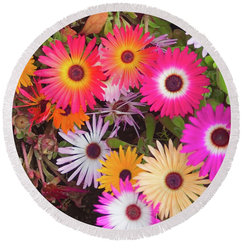 Floral Round Beach Towel featuring the photograph Colorful Corn Flower Array by David Smith