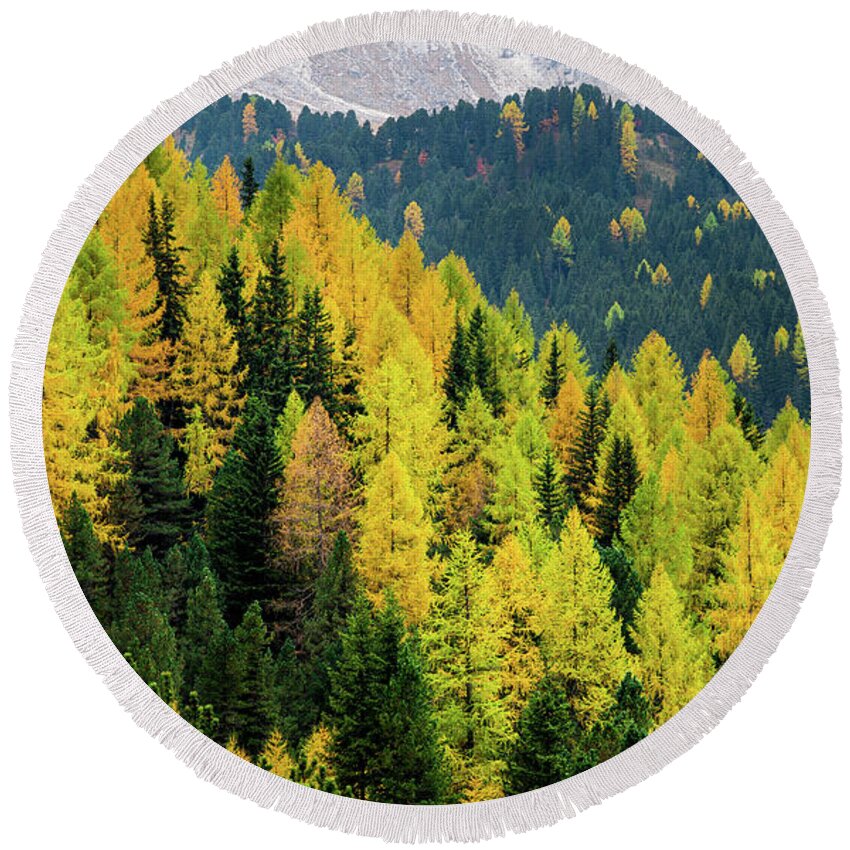 Dolomite Mountains Round Beach Towel featuring the photograph Yellow autumn trees in the forest by Michalakis Ppalis