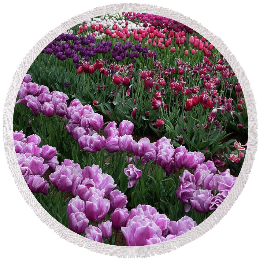 Flower Round Beach Towel featuring the photograph Colorful Tulip Festival by Masami IIDA